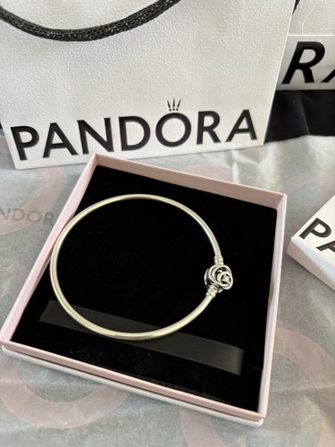 Pandora moments sterling - ‘moments’,