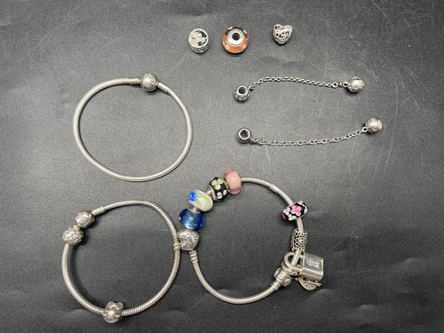 Pandora bracelet and - bracelet, charm
