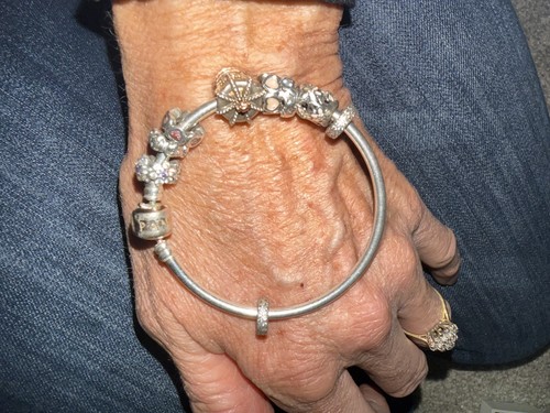 Pandora bangle with various - pandora,
