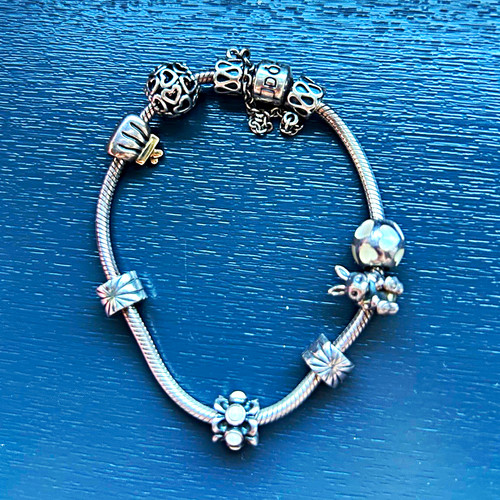 Pandora moments sterling - pandora,