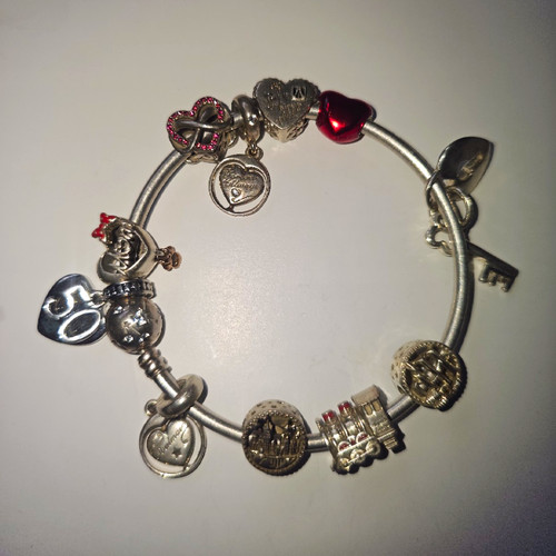 Pandora 925 silver rigid - silver,