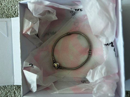 Pandora silver snake chain - snake,