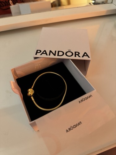 Pandora brand new moments - brand,