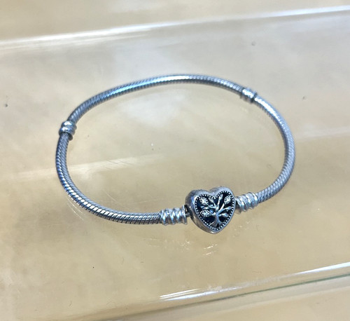 Genuine pandora moments family - moments,