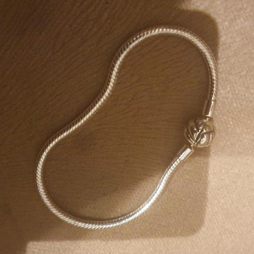 Silver tone snake - silver,